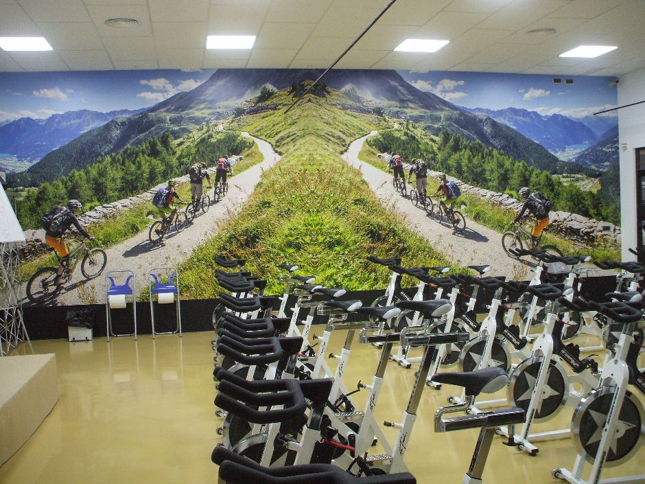 Gimnasio 7